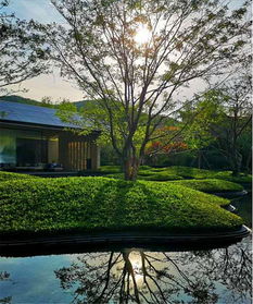 初見園林 佛山園林綠化設(shè)計施工 小學(xué) 市政 園林綠化養(yǎng)護(hù)