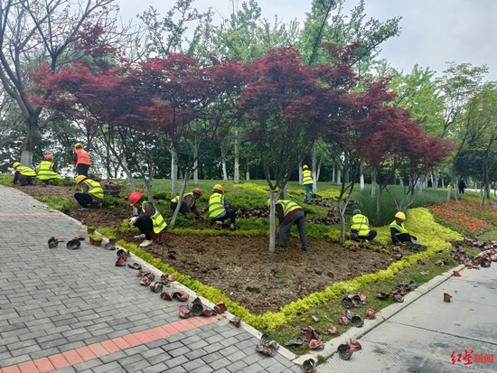 天府黃、錦官橙、太陽神鳥 成都三環路換上了新裝你注意到了嗎