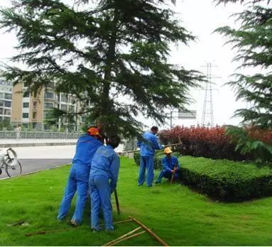 稅改后時(shí)代,園林綠化工程利潤(rùn)達(dá)到多少才不虧本!