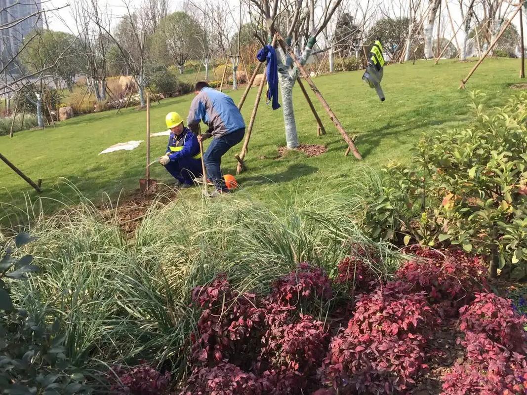 邊坡綠化工程 專業施工，筑造綠色家園的生態屏障