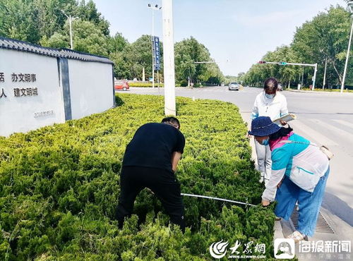 青州市園林綠化和環衛中心 卡準綠化施工精度尺，拉緊項目驗收質量繩——以高標準打造體育場地設施工程